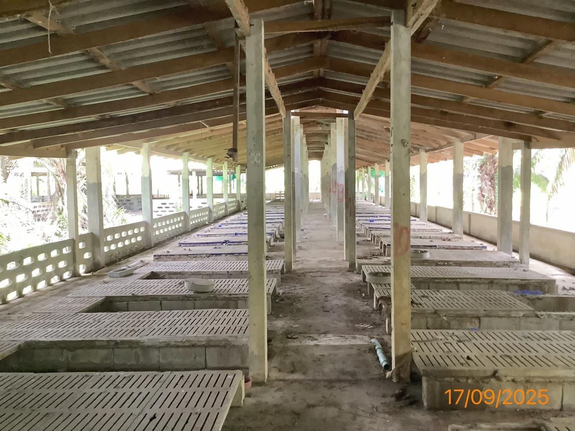 รูป ฟาร์ม 2259.1 ตร.วา เฉลิมพระเกียรติ นครศรีธรรมราช 5.6M - รูปที่ 31/36