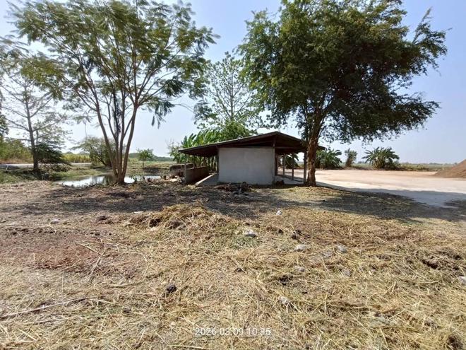 รูป บ้านเดี่ยว 13450 ตร.วา สระโบสถ์ ลพบุรี 12.2M - รูปที่ 3/26