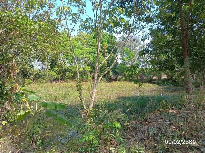 รูป เพิงอเนกประสงค์ 2900 ตร.วา เชียงคำ พะเยา 5.4M - รูปที่ 21/48