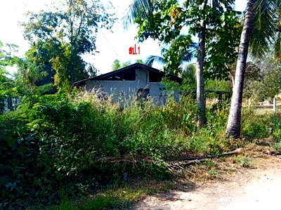 บ้านเดี่ยว อุดรธานี : บ้านเดี่ยว 456 ตร.วา หนองหาน อุดรธานี 569,000