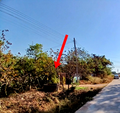 LAND 1526.6 Sq.w. Chiang Yun Maha Sarakham for 4.3M