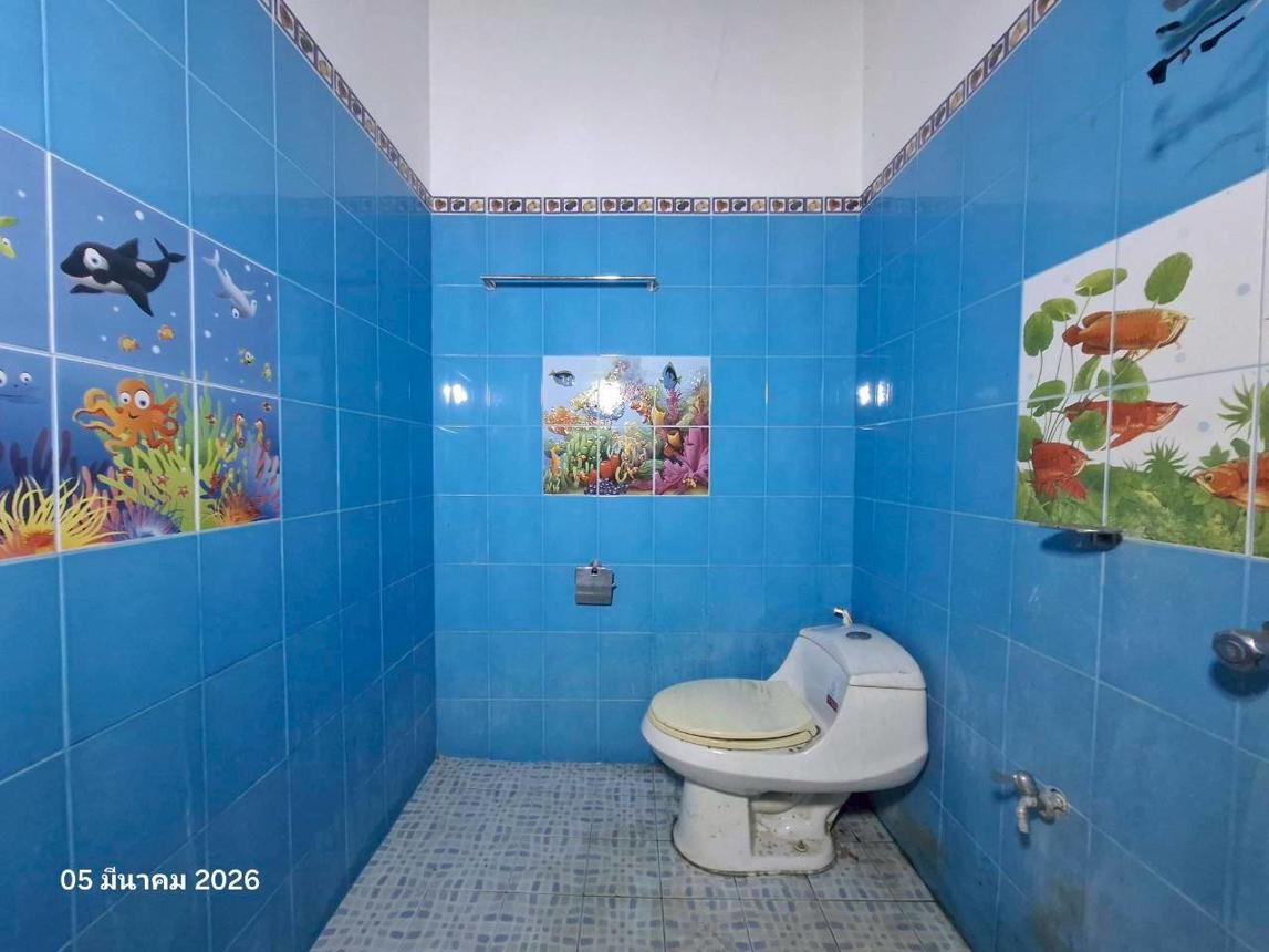 รูป บ้านเดี่ยว 348.8 ตร.วา พญาเม็งราย เชียงราย 8.5M - รูปที่ 32/36