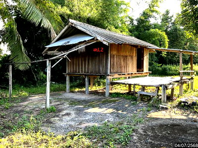 บ้านเดี่ยว กาฬสินธุ์ : บ้านเดี่ยว 1049 ตร.วา ยางตลาด กาฬสินธุ์ 1.4M