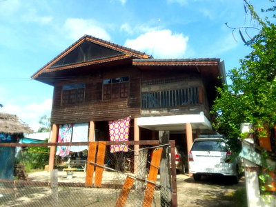 LAND 3853 Sq.w. Phu Khieo Chaiyaphum for 2.5M