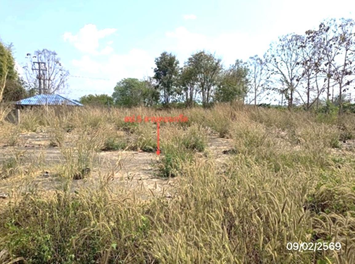 รูป เพิงอเนกประสงค์ 2900 ตร.วา เชียงคำ พะเยา 5.4M - รูปที่ 38/48