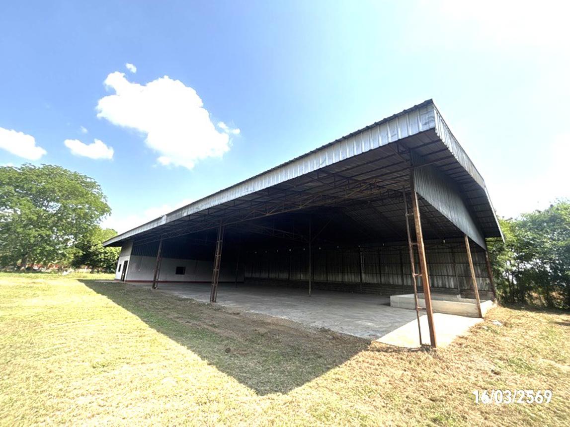 รูป บ้านเดี่ยว 3145 ตร.วา บ้านใหม่ไชยพจน์ บุรีรัมย์ 5.9M - รูปที่ 46/60