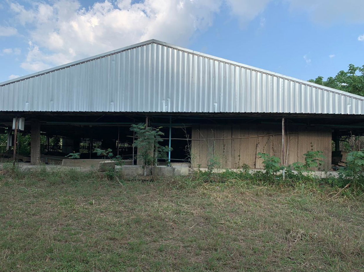 picture LAND 7004 Sq.w. Takhli Nakhon Sawan for 4.4M - 3/11