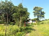 listing thumbnail image 33