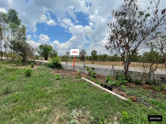 รูป บ้านเดี่ยว 800 ตร.วา สว่างแดนดิน สกลนคร 2.7M - รูปที่ 15/42