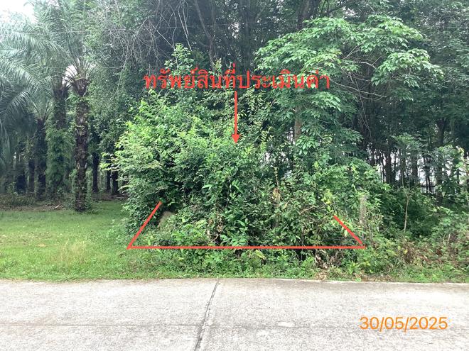picture LAND 3649 Sq.w. Chalermphrakiet Nakhon Sri Thammarat for 9.9M - 17/38