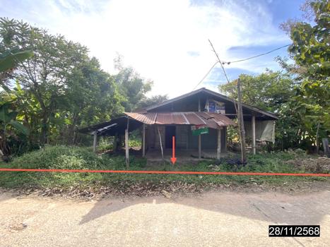 รูป บ้านเดี่ยว 118 ตร.วา หนองกุงศรี กาฬสินธุ์ 518,000 - รูปที่ 29/32