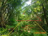 listing thumbnail image 18