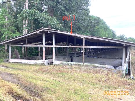 picture LAND 3649 Sq.w. Chalermphrakiet Nakhon Sri Thammarat for 9.9M - 35/38