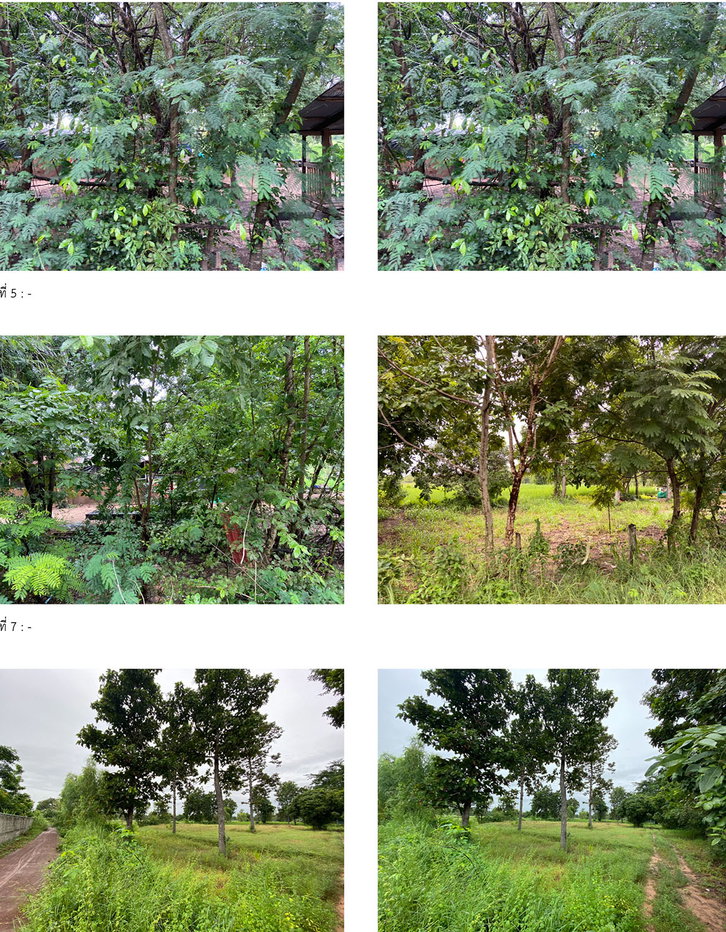 picture LAND 6706 Sq.w. Chaturaphak Phiman Roi Et for 5.6M - 3/4