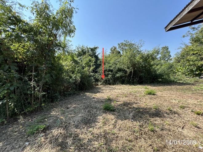 รูป บ้านเดี่ยว 2295.2 ตร.วา พรหมพิราม พิษณุโลก 2.9M - รูปที่ 17/40