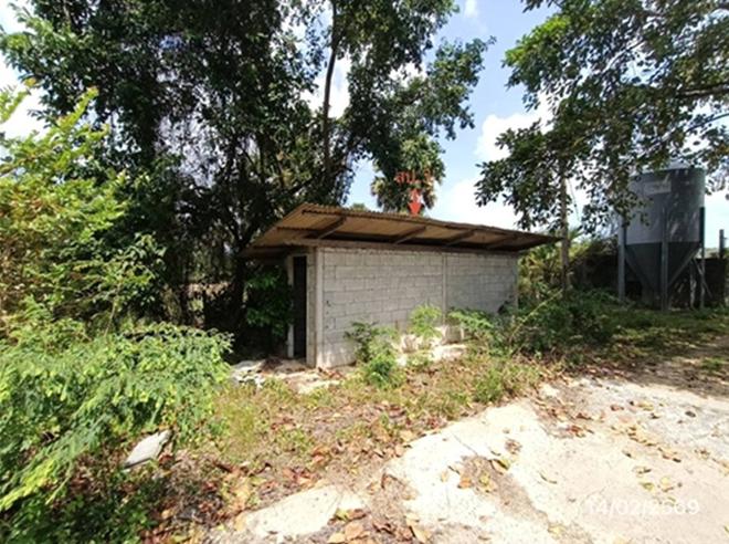 รูป ฟาร์ม 3464 ตร.วา สทิงพระ สงขลา 9.7M - รูปที่ 22/48