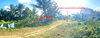 listing thumbnail image 35