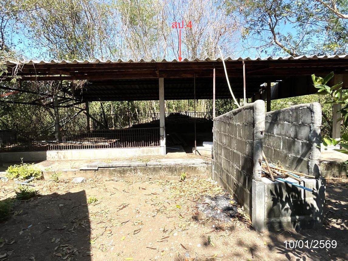 picture LAND 12644 Sq.w. Ko Chan Chonburi for 14.6M - 27/44