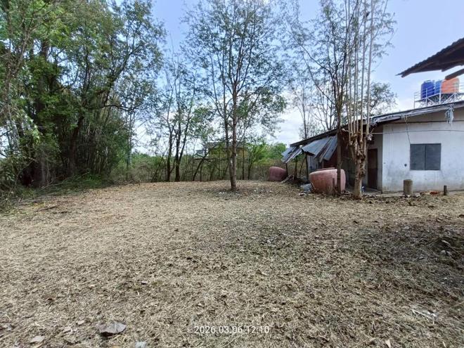 รูป บ้านเดี่ยว 228 ตร.วา เมืองเพชรบูรณ์ เพชรบูรณ์ 1M - รูปที่ 7/38