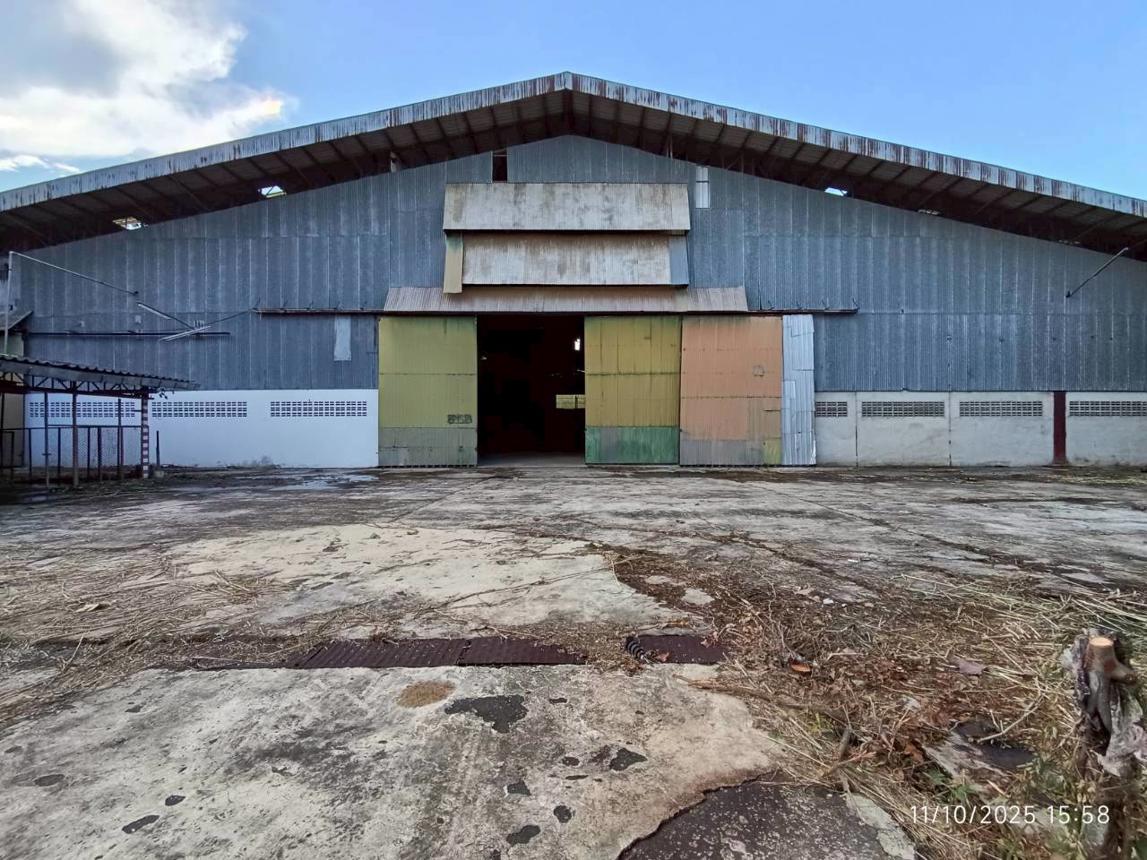 รูป โรงสี 9661.2 ตร.วา โพทะเล พิจิตร 55.5M - รูปที่ 61/72
