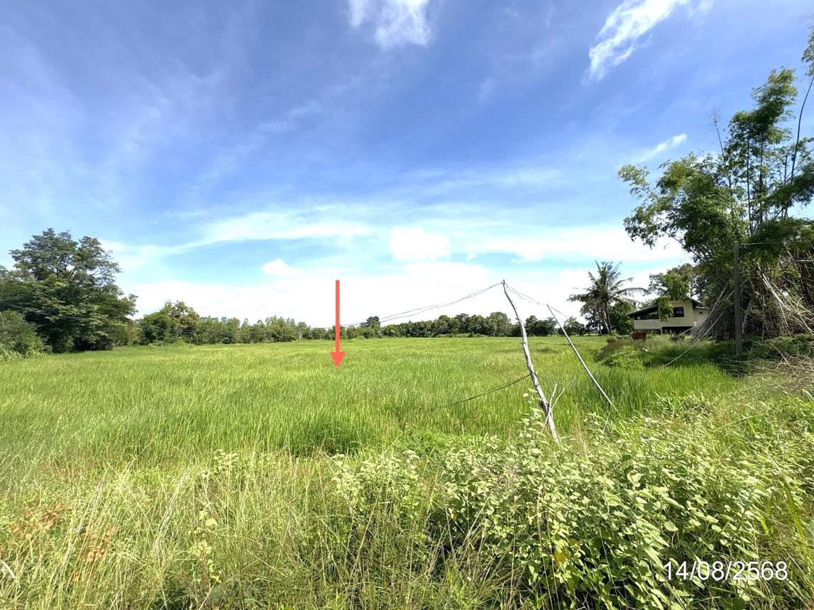 picture HOME 2538.4 Sq.w. Samrong Ubon Ratchathani for 1.8M - 12/16