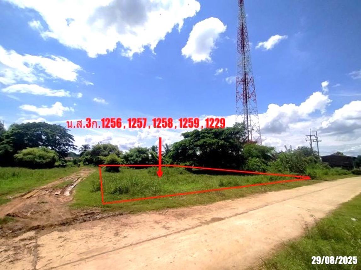 รูป เพิงอเนกประสงค์ 2059 ตร.วา นากลาง หนองบัวลำภู 14.9M - รูปที่ 19/26