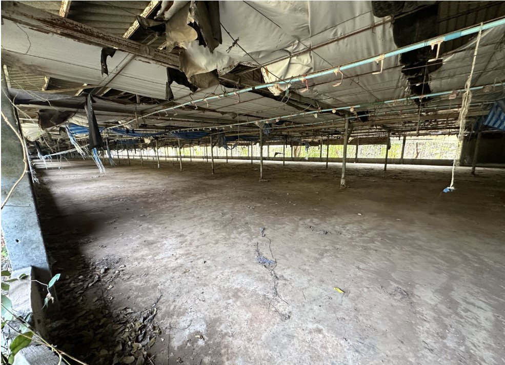 picture LAND 7004 Sq.w. Takhli Nakhon Sawan for 4.4M - 6/11