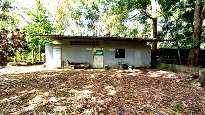 เพิงอเนกประสงค์ 4000 ตร.วา ศรีนครินทร์ พัทลุง 5.1M