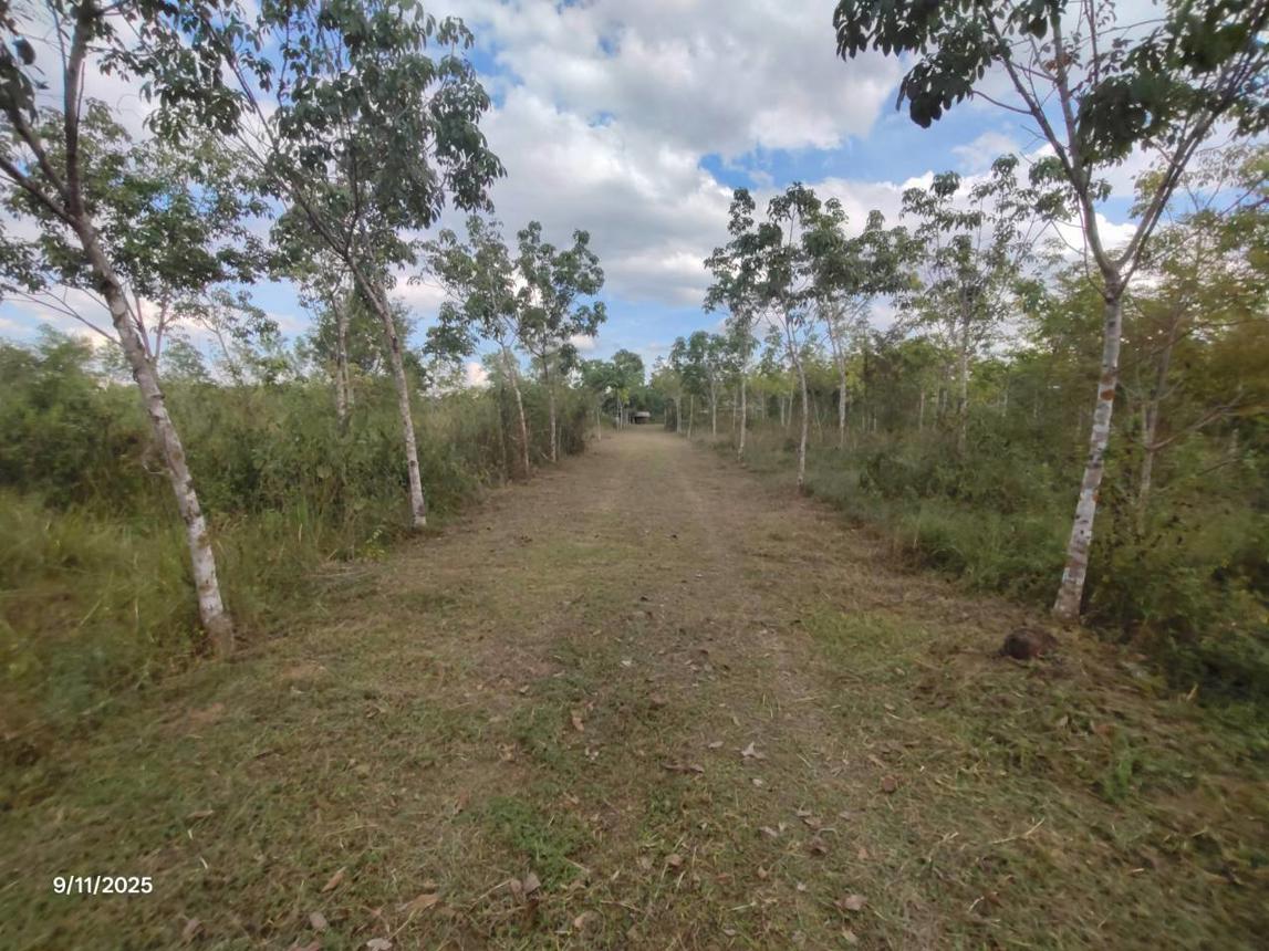 รูป บ้านเดี่ยว 23335 ตร.วา เมืองอุดรธานี อุดรธานี 9.5M - รูปที่ 23/30