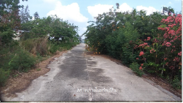 รูป โรงงาน 13075 ตร.วา บางเสาธง-สมุทรปราการ บางเสาธง สมุทรปราการ 270M - รูปที่ 16/29