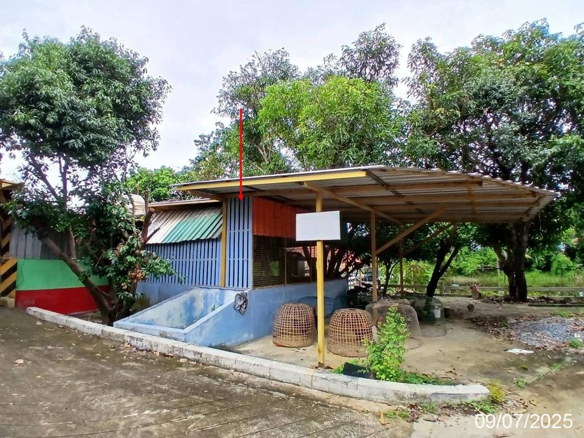 รูป บ้านเดี่ยว 4627 ตร.วา วิหารแดง สระบุรี 22.2M - รูปที่ 70/84