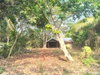 listing thumbnail image 20