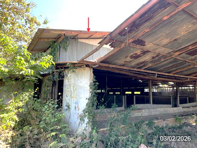 LAND 848.1 Sq.w. Si Sam Rong Sukhothai for 3.1M