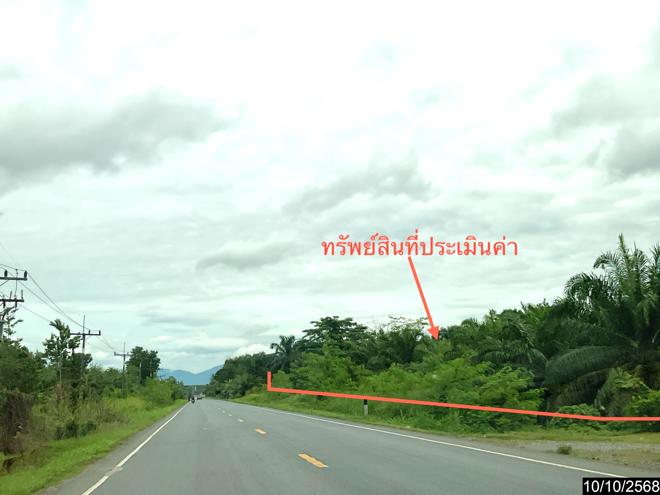 รูป บ้านเดี่ยว 3646 ตร.วา ทุ่งสง นครศรีธรรมราช 12M - รูปที่ 17/38