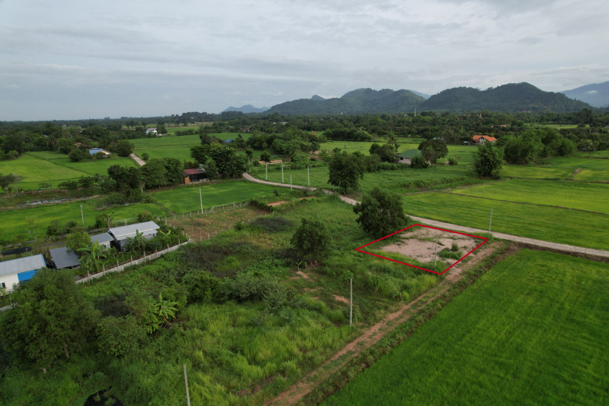 รูป ขายที่ดิน 100 ตารางวา ต.เขาพระ ถมเต็มพื้นที่ มีโฉนด ติดถนนคอนกรีต วิวเขาชัด  - รูปที่ 8/19