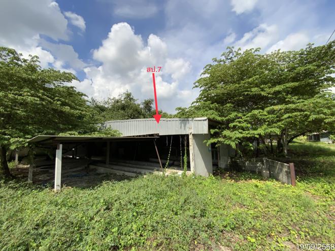 picture LAND 3345 Sq.w. Tha Wung Lopburi for 9.3M - 17/50