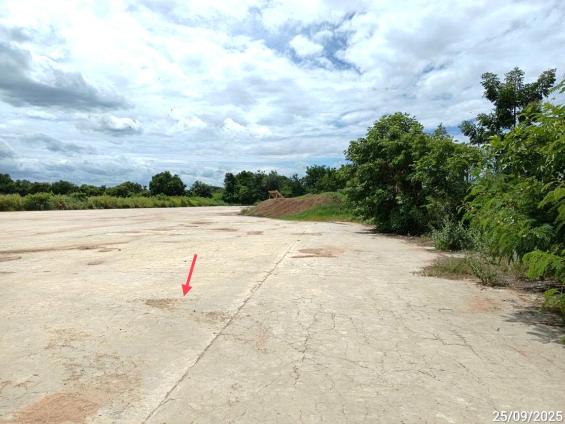 รูป เพิงอเนกประสงค์ 3000 ตร.วา สูงเนิน นครราชสีมา 4.6M - รูปที่ 16/24