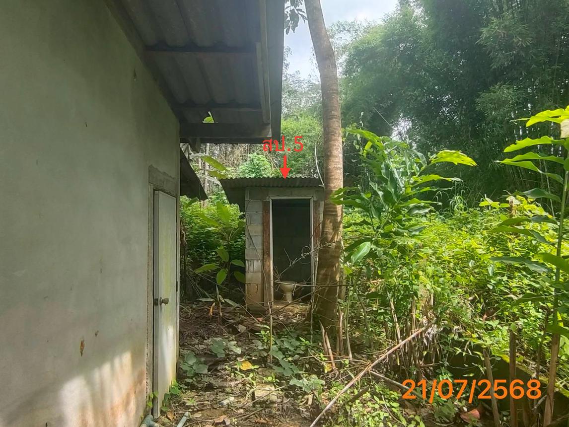 รูป บ้านเดี่ยว 4455.3 ตร.วา ตะกั่วทุ่ง พังงา 5.3M - รูปที่ 34/42