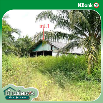 รูป บ้านเดี่ยว 3646 ตร.วา ทุ่งสง นครศรีธรรมราช 12M - รูปที่ 36/38
