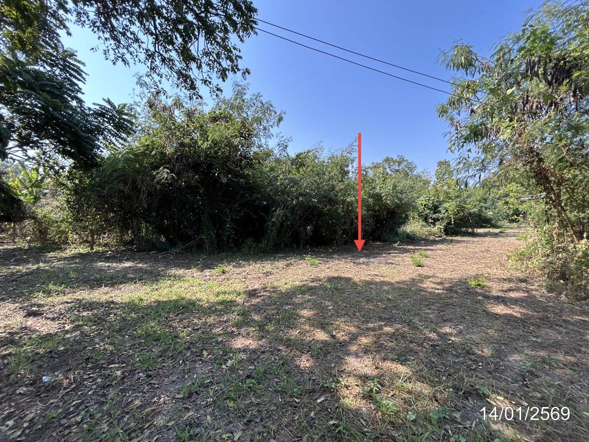 รูป บ้านเดี่ยว 2295.2 ตร.วา พรหมพิราม พิษณุโลก 2.9M - รูปที่ 36/40