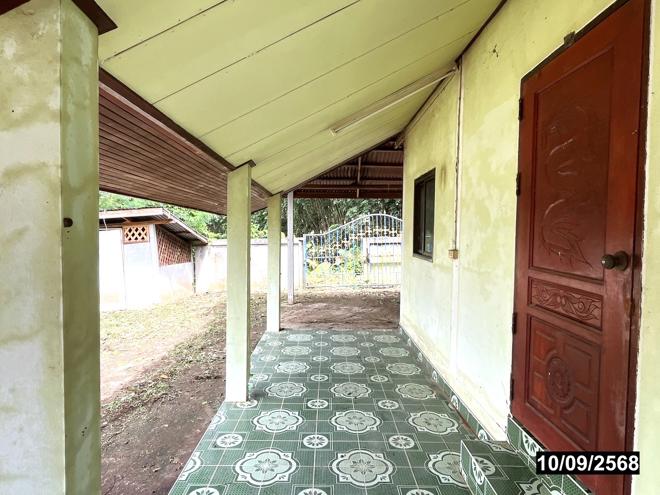 รูป บ้านเดี่ยว 1065 ตร.วา วังสะพุง เลย 2.3M - รูปที่ 13/44