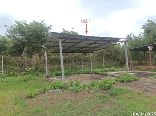 รูป เพิงอเนกประสงค์ 2778.4 ตร.วา ตระการพืชผล อุบลราชธานี 1.2M - รูปที่ 1/20