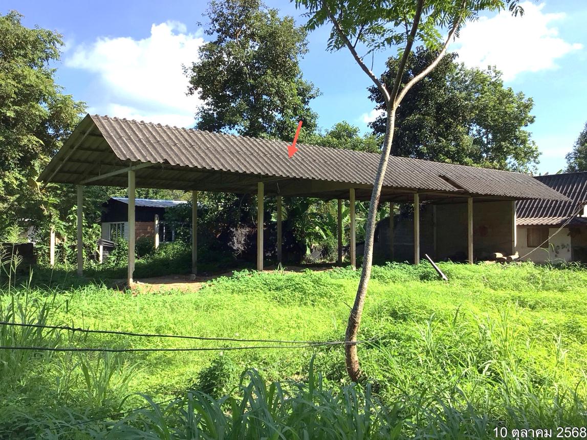 รูป บ้านเดี่ยว 1597 ตร.วา แม่จัน เชียงราย 4.6M - รูปที่ 29/36