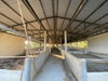 listing thumbnail image 21