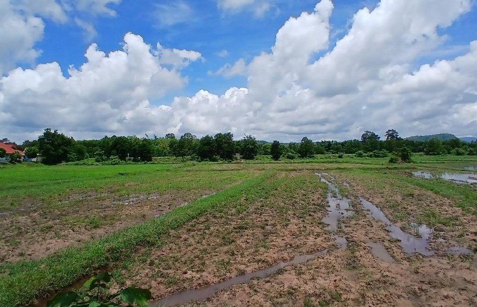 รูป ที่ดินพร้อมสิ่งปลูกสร้าง 1387 ตร.วา อำเภอคำชะอี มุกดาหาร 2.9M - รูปที่ 8/13
