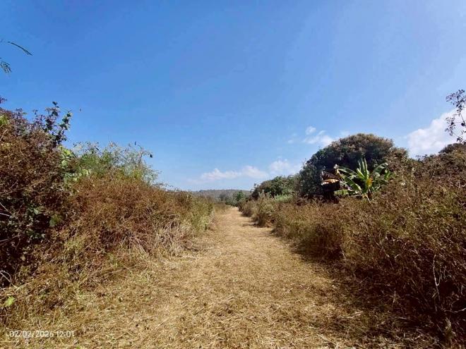 รูป เพิงอเนกประสงค์ 8800 ตร.วา จอมทอง เชียงใหม่ 6.2M - รูปที่ 11/26