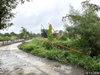 listing thumbnail image 19