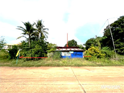 Houses for sale Tak Fa Nakhon Sawan : HOME 600 Sq.w. Tak Fa Nakhon Sawan for 709,000