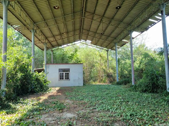 picture FACTORY 1213.8 Sq.w. Muang Nakhon Pathom Nakhon Pathom for 4.6M - 4/26