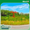 listing thumbnail image 15